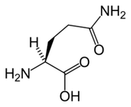 L-glutamín v keto diéte
